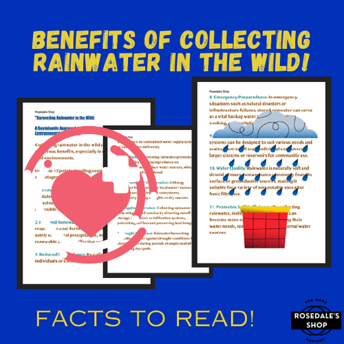 Harvesting Rainwater in the Wild: A Sustainable Approach to Water Security ~ FACTS!