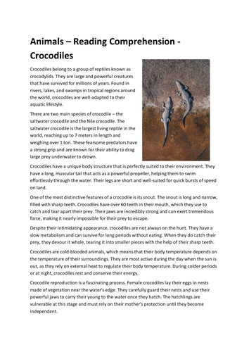 Animals – Reading Comprehension - Crocodiles