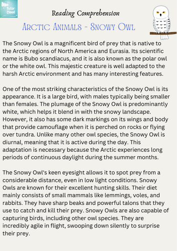 Arctic Animals - Snowy Owl – Reading Comprehension