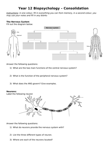 Biological Psychology - Y12 recap activites