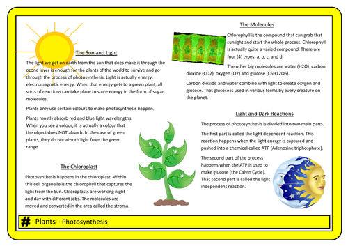 # Photosynthesis poster/revision resource