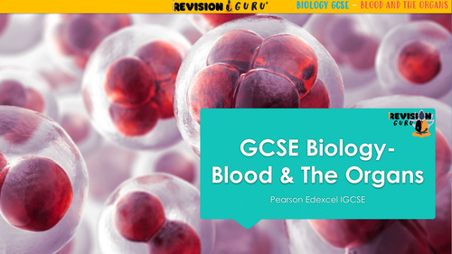 GCSE Biology - Blood & The Organs