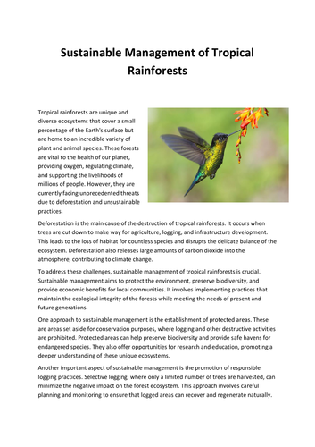 Sustainable Management of Tropical Rainforests