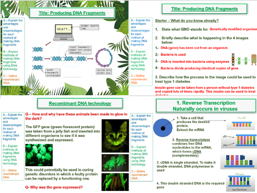 Recombinant DNA Technology- AQA A Level Biology (A2- Topic 21) -Topic bundle