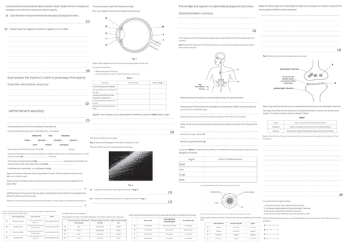 IGCSE CIE A3 Exam sheet - Coordination