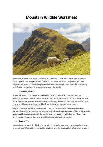 Mountain Wildlife Worksheet