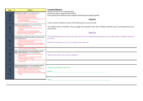 Assessment Level Ladders