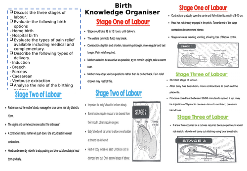 Unit 1 CCEA Child Development Knowledge Organisers