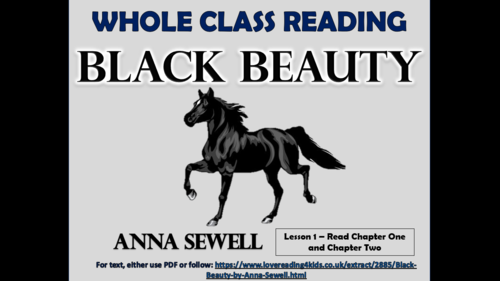 Black Beauty Reading Comprehension - Lesson 1!