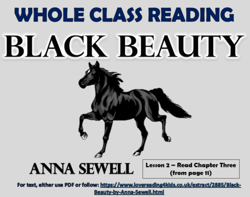 Black Beauty Reading Comprehension - Lesson 2