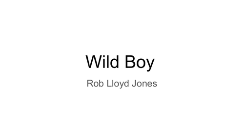 Wild Boy Rob Lloyd Jones chapter summaries