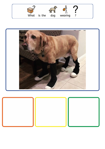 Colourful Semantics- What is the dog/cat wearing?
