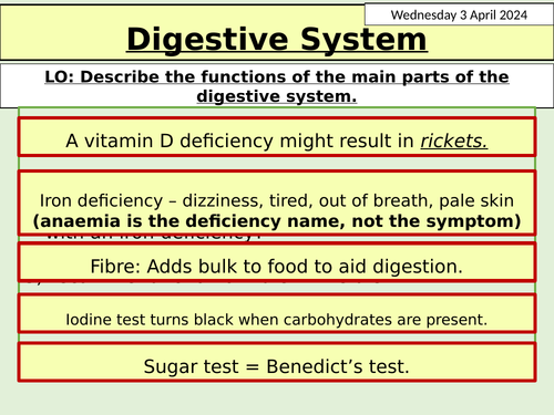 KS3 Biology:Digestive System