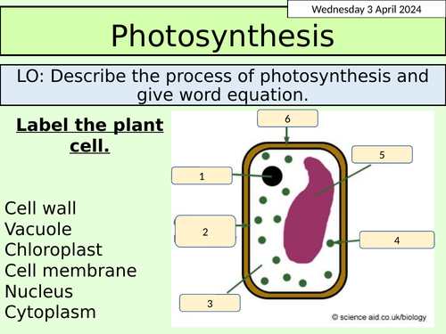 KS3 Biology: Photosynthesis