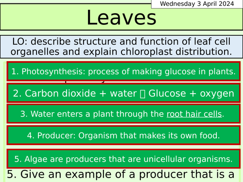 KS3 Biology: Leaves