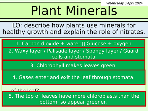 KS3 Biology: Plant Minerals