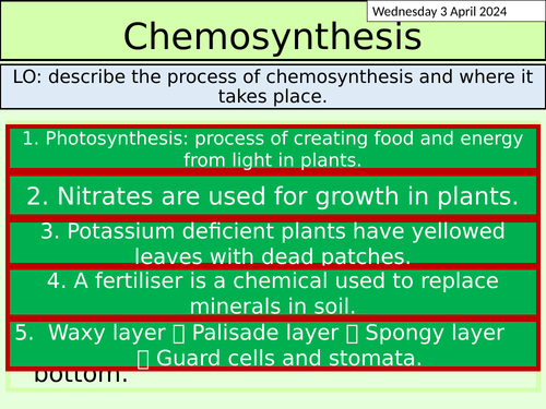 KS3 Biology: Chemosynthesis