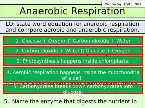 KS3 Biology: Anaerobic Respiration