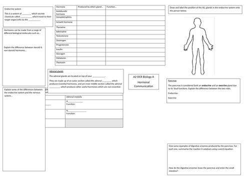 OCR A Level Biology A Hormonal Communication revision summary sheet