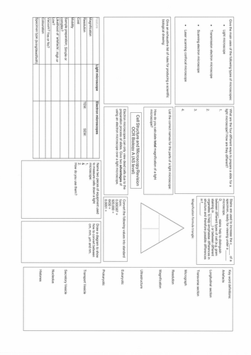 OCR A Level Biology AS Retrieval Practice Summary