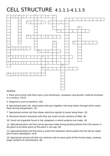 Biology Paper 1 Foundation Puzzle Bundle and Answers