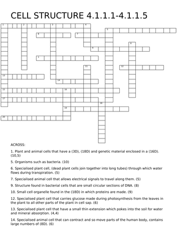 Biology Paper 1 Higher Puzzle Bundle and Answers