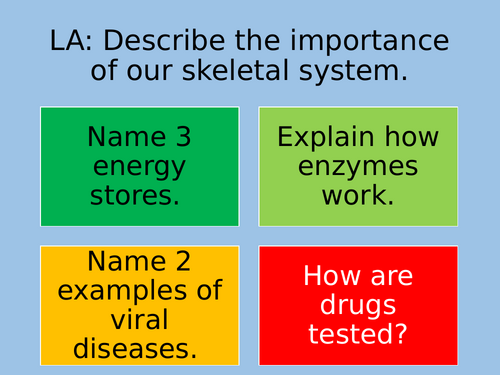 Body Systems KS3