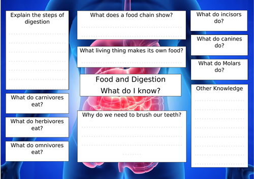 Digestion - Pre/post unit show what you know