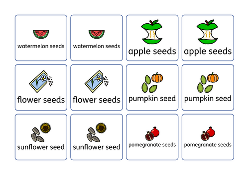 Seed Symbols