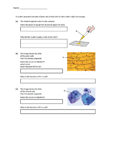 3rd year Biology Revision Test - Pre Questions