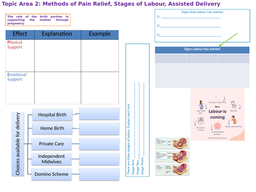 OCR Child Development R057 Topic area 2 pain relief and types of delivery