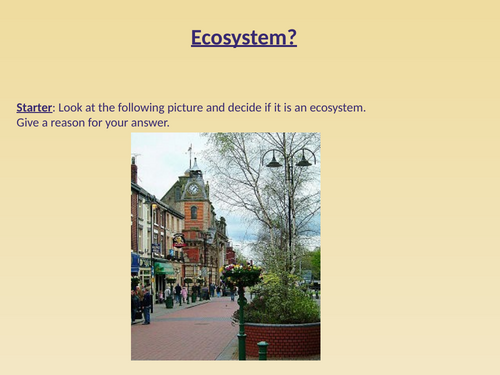 What is an urban ecosystem