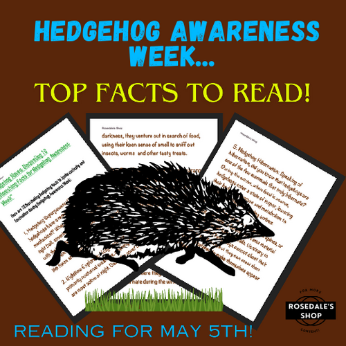 Hedgehog Haven: Unraveling 10 Astonishing Facts for Hedgehog Awareness Week ~ 5th May
