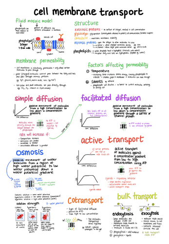 Medical Science - Transport across the membrane