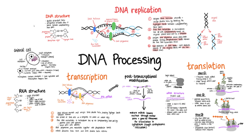 Medical Science - DNA processing