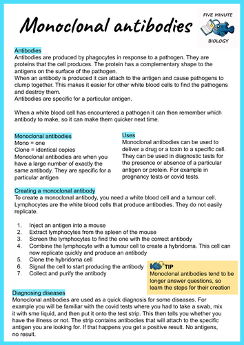 GCSE AQA Biology Triple Science Monoclonal Antibodies revision sheets Higher Tier (Grade 6-9)
