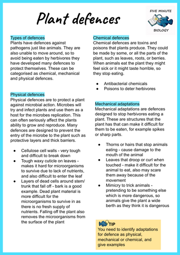 GCSE AQA Biology Triple Science Plant Defences revision sheets Higher Tier (Grade 6-9)