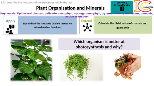 AQA Biology Plant Organisation