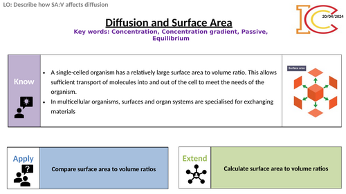 AQA Biology Diffusion and Surface Area