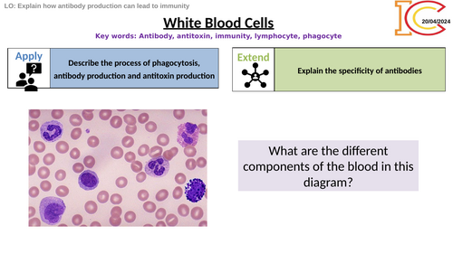 AQA Biology Human Defences and White Blood Cells