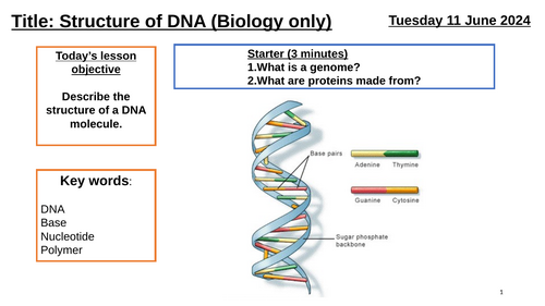 AQA GCSE Biology "Lesson 2 - Structure of DNA" BIO ONLY (Inheritance, Variation and Evolution Topic)