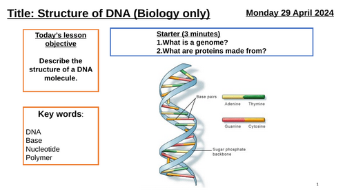 AQA GCSE Biology "Lesson 2 - Structure of DNA" BIO ONLY (Inheritance, Variation and Evolution Topic)