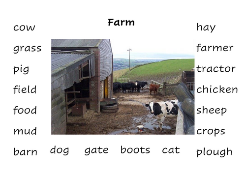A3 Vocab for small world area (farm)
