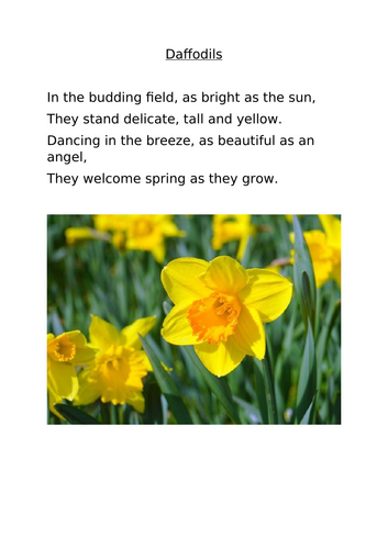Daffodil Poem T4W
