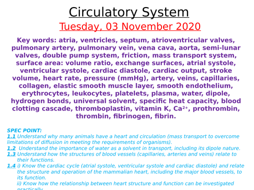 Edexcel (SNAB) A-Level Topic 1 Notes