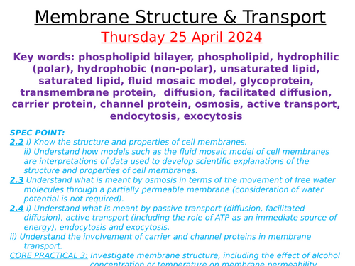 Edexcel (SNAB) A-level Topic 2 Notes