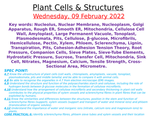 Edexcel (SNAB) A-level Topic 4 Notes