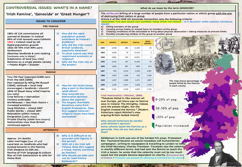 Irish Famine Evidence Poster: Who was to blame?