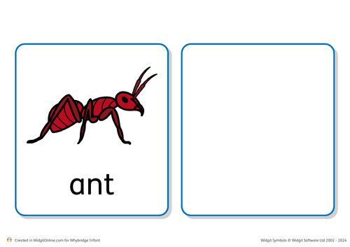 minibeast structured walk