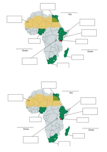 Africa Assessment